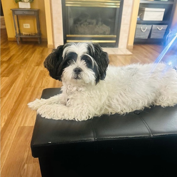 💕💕 hey Im live!!! Come join me for beautiful jewelry pieces - Picture 4 of 10